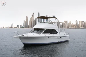 cobale-avyachts-main